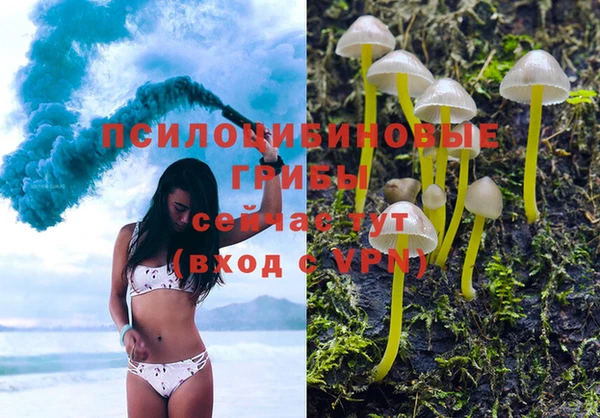 кокс Россошь