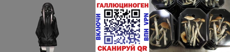 наркотики  Куса  МЕГА ССЫЛКА  Галлюциногенные грибы мицелий 